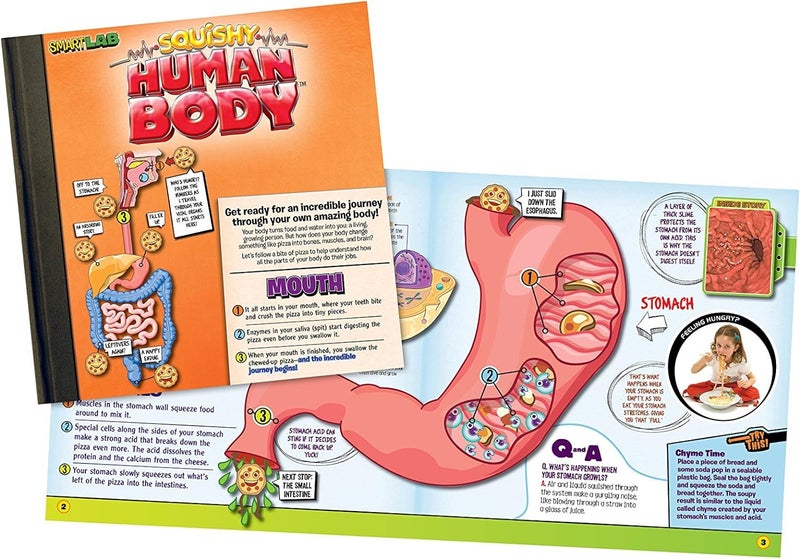 SmartLab ألعاب سمارت لاب: جسم إنسان قابل للضغط مع 21 جزءًا قابلًا للإزالة مع كتاب تشريح - Image 2